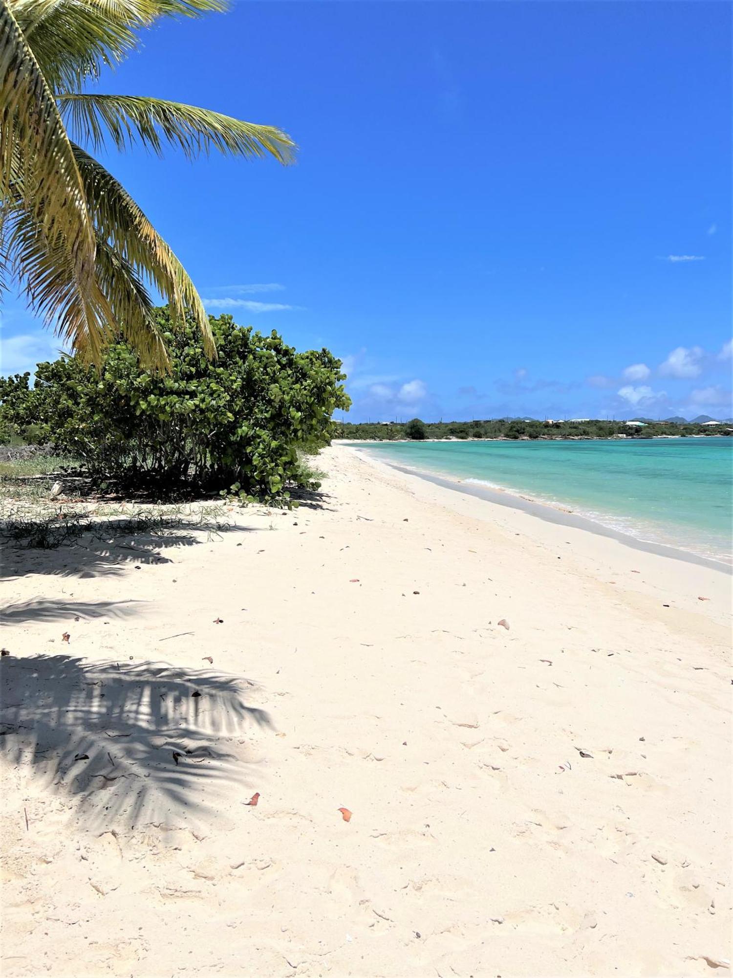 Rendezvous Bay Hotel Lower South Hill Exteriér fotografie